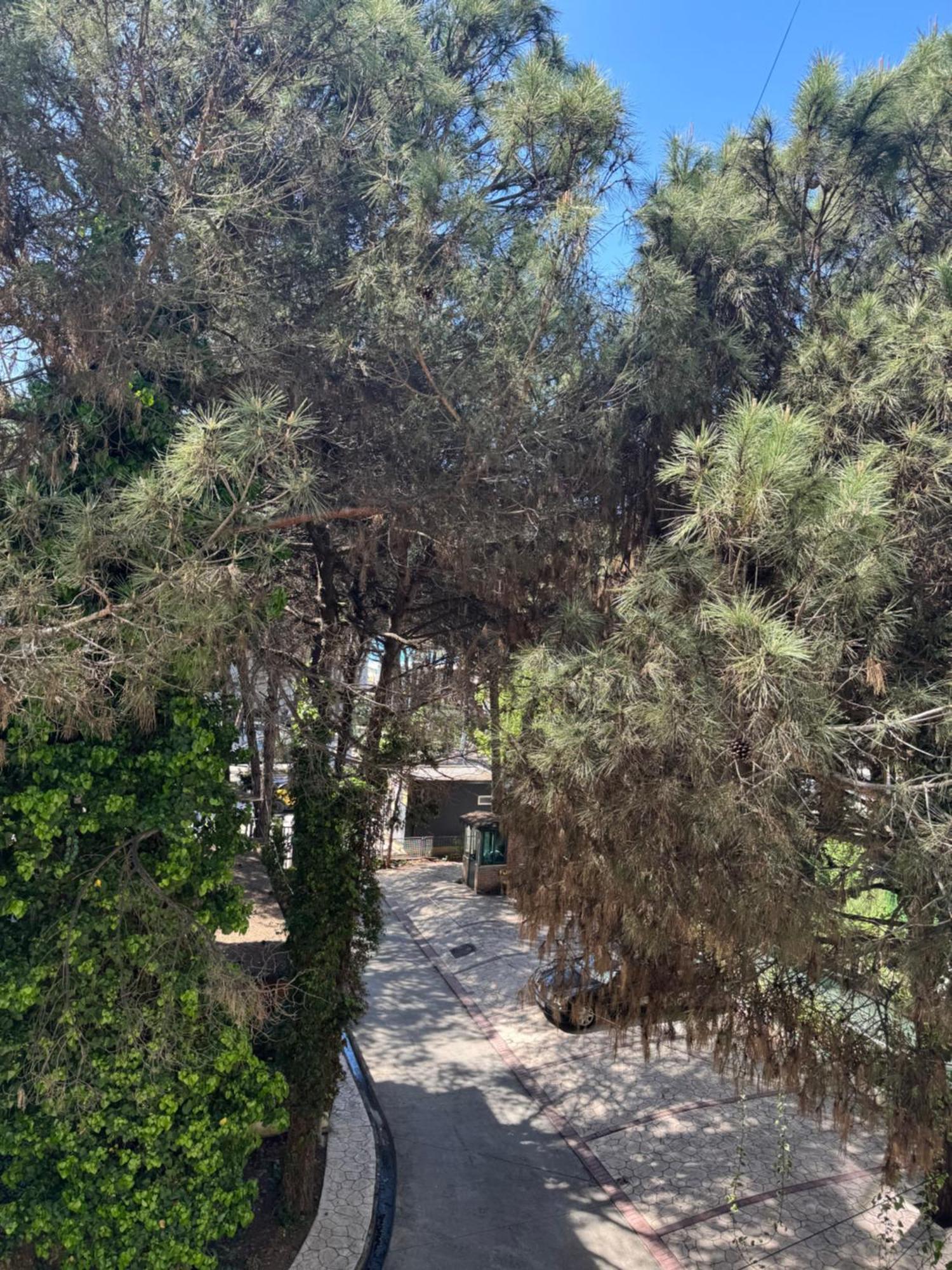Silent Apartment Golem  Εξωτερικό φωτογραφία