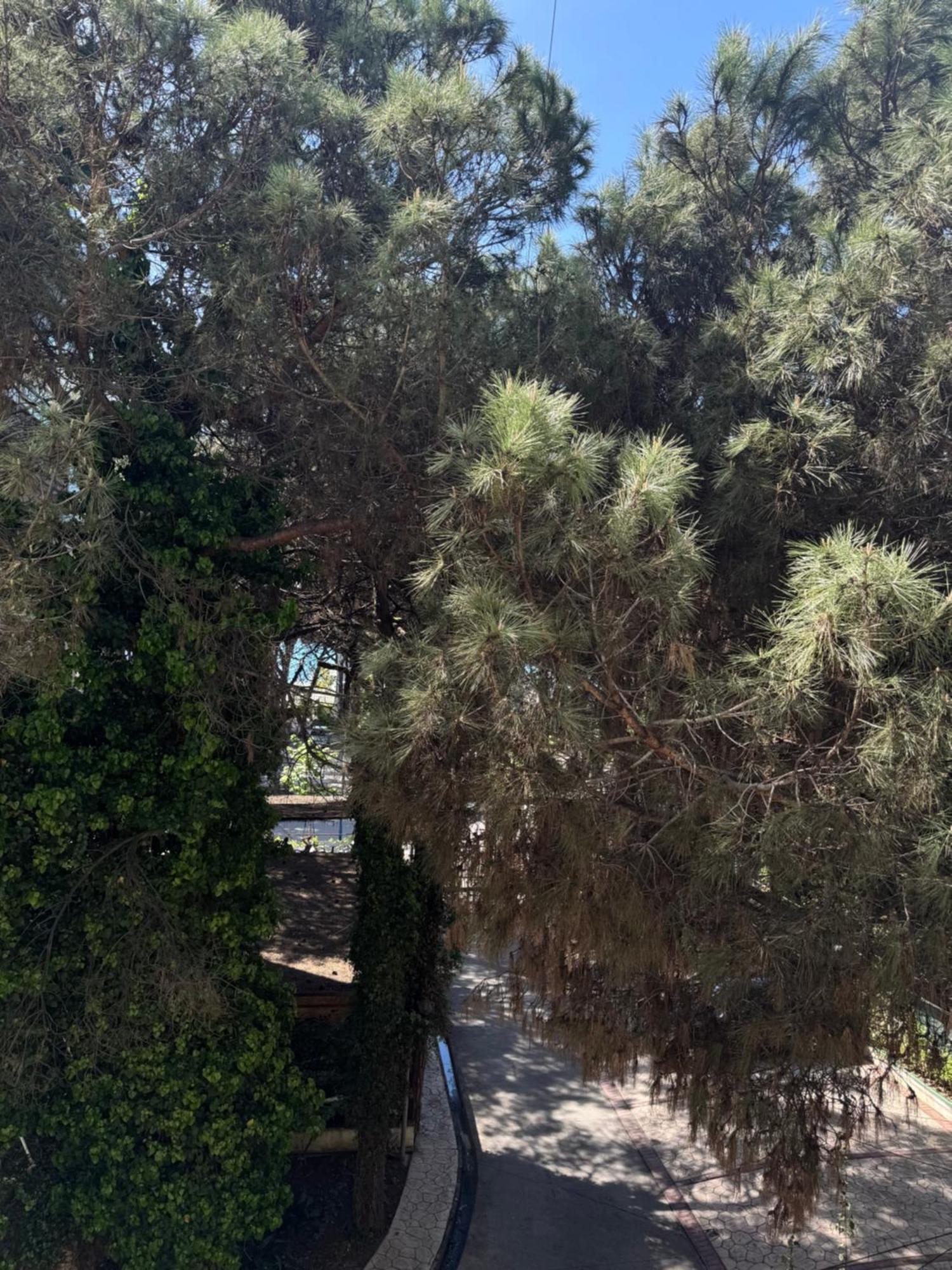 Silent Apartment Golem  Εξωτερικό φωτογραφία